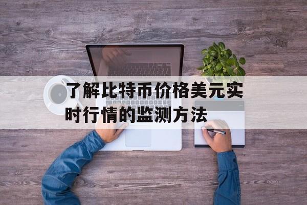 了解比特币价格美元实时行情的监测方法