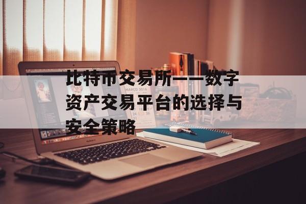 比特币交易所——数字资产交易平台的选择与安全策略